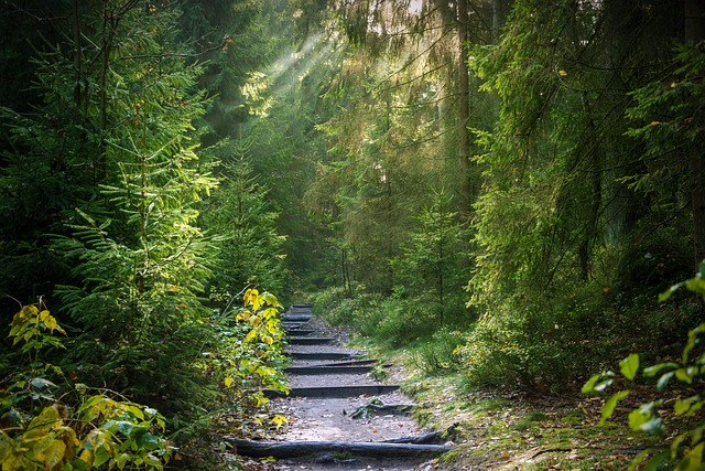 🌿その不調、冷えから来ていませんか？