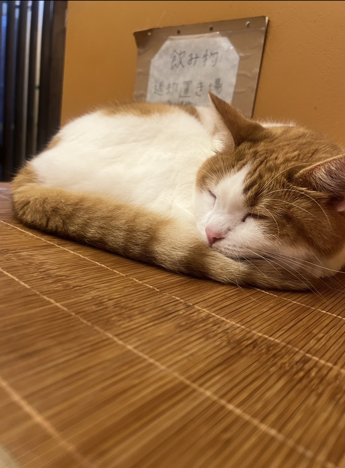 🌙眠れない夜は、体のこわばりサインかも？